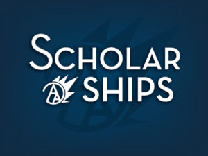 AAMF PIC-Scholarships